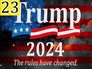 Trump 2024 The Rules Have Changed Flag