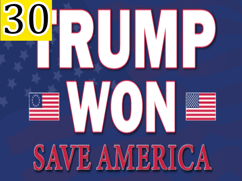 Trump Won Save America Flag