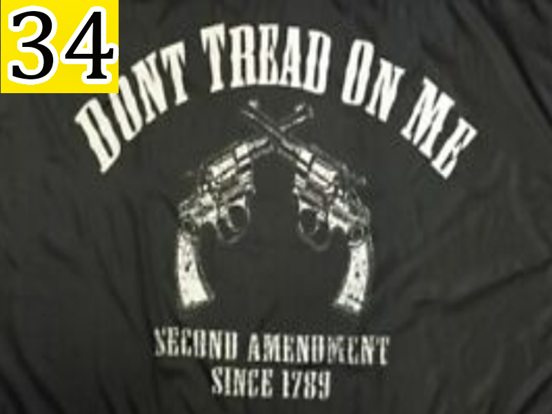 Don't Tread On Me Second Amendment Flag