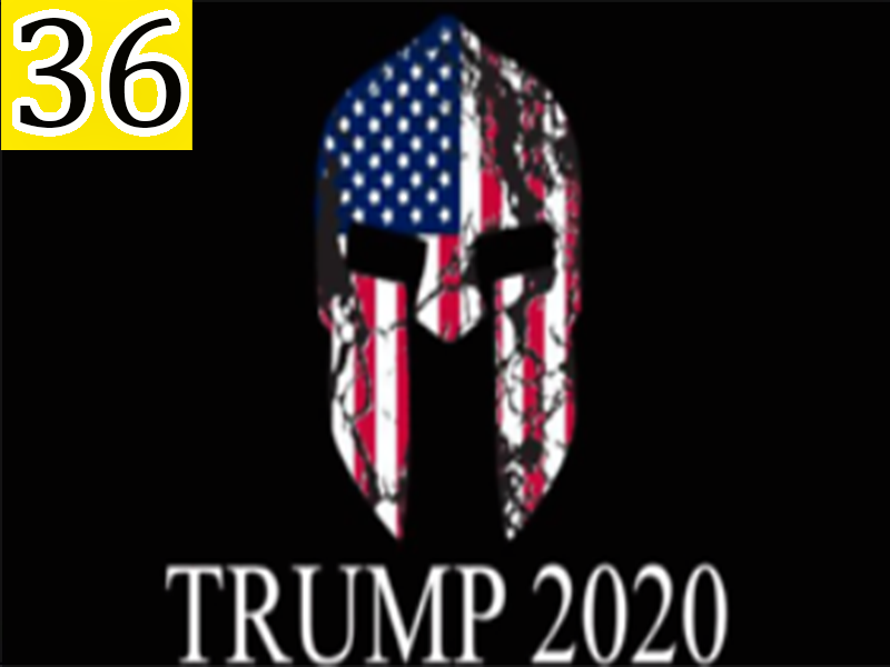 Trump 2020 American Knight Flag