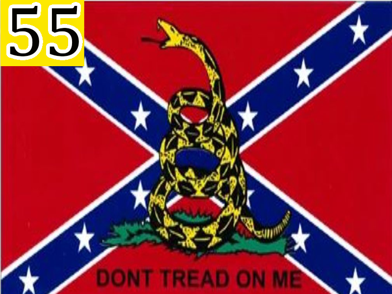 Don't Tread On Me Confederate Flag