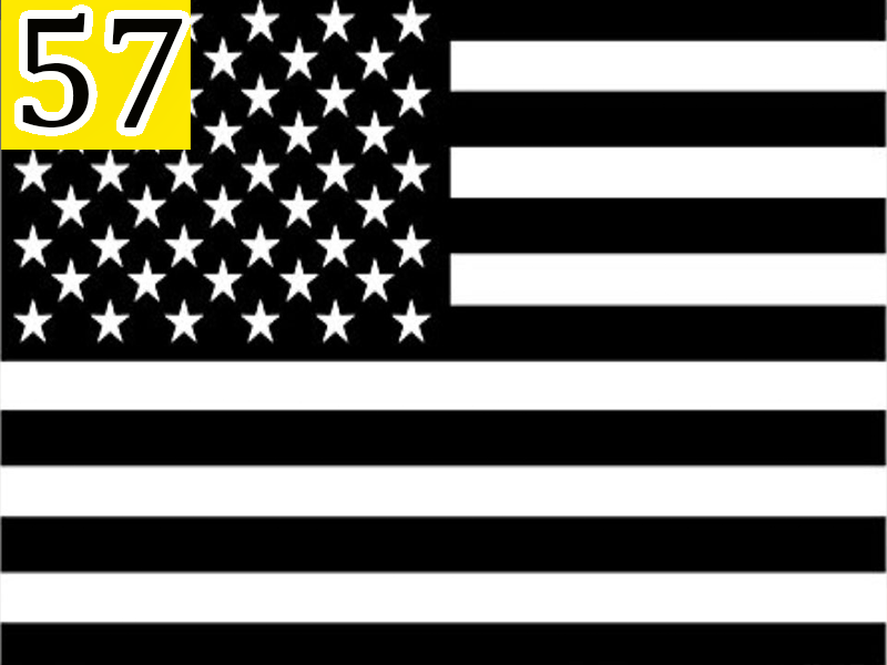 Black And White American Flag