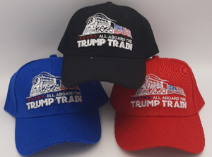 All Aboard the Trump Train 2020 Hat